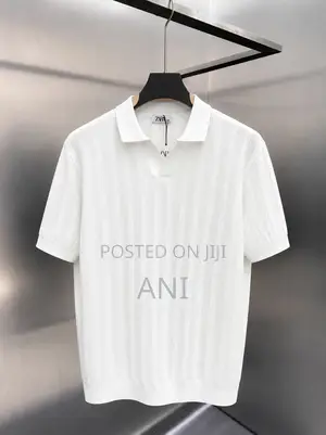 Zara Mens Polo