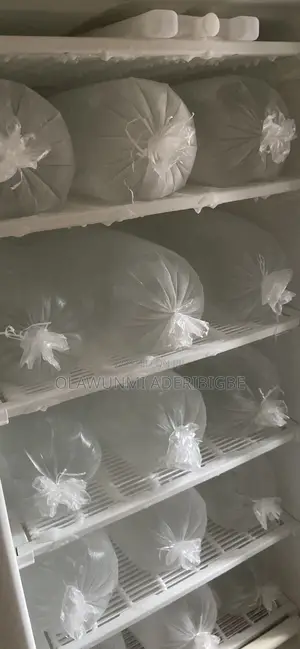 Ice Blocks