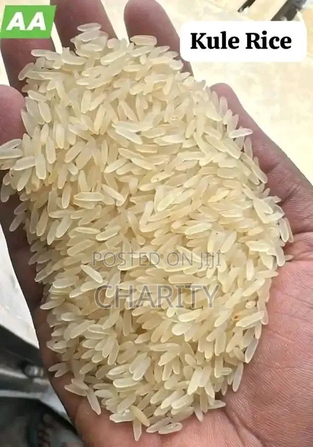 Silver Rice Rice