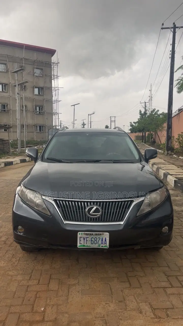 Lexus RX 2011 Gray