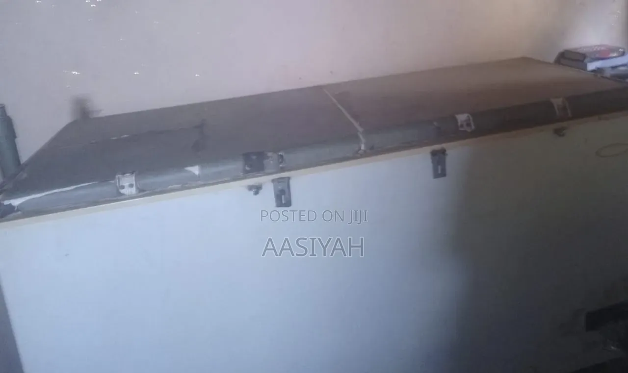 Electric Freezer