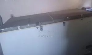 Electric Freezer