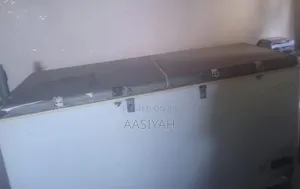 Electric Freezer