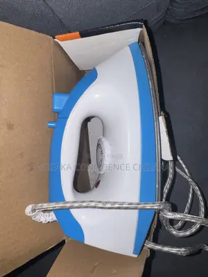 Boston Electric Steam Iron
