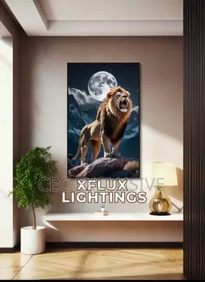 Wall Decorative Frame Light