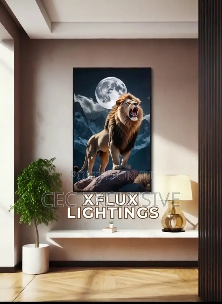 Wall Decorative Frame Light