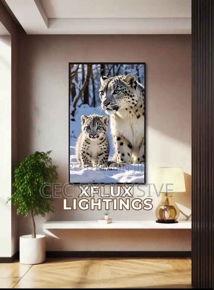 Wall Decorative Frame Light