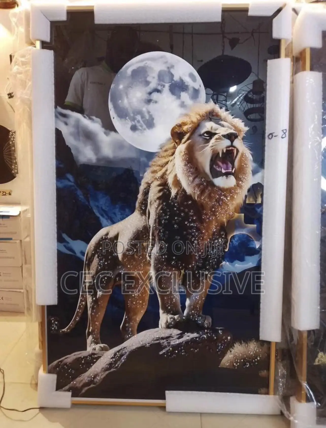 Wall Decorative Frame Light