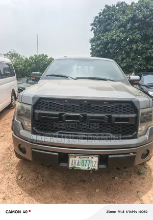 Ford F-150 2012 Gray