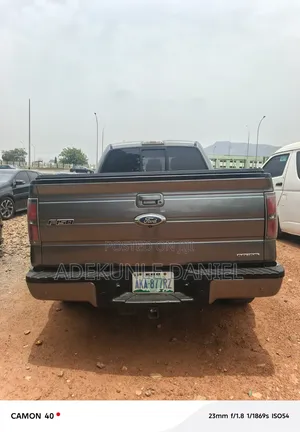 Ford F-150 2012 Gray