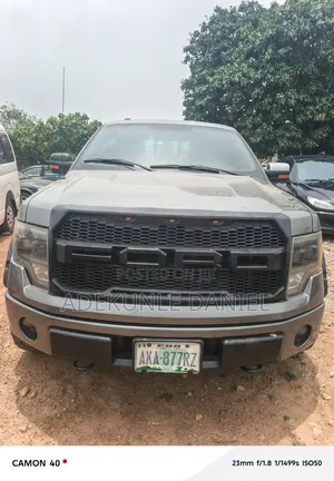 Ford F-150 2012 Gray