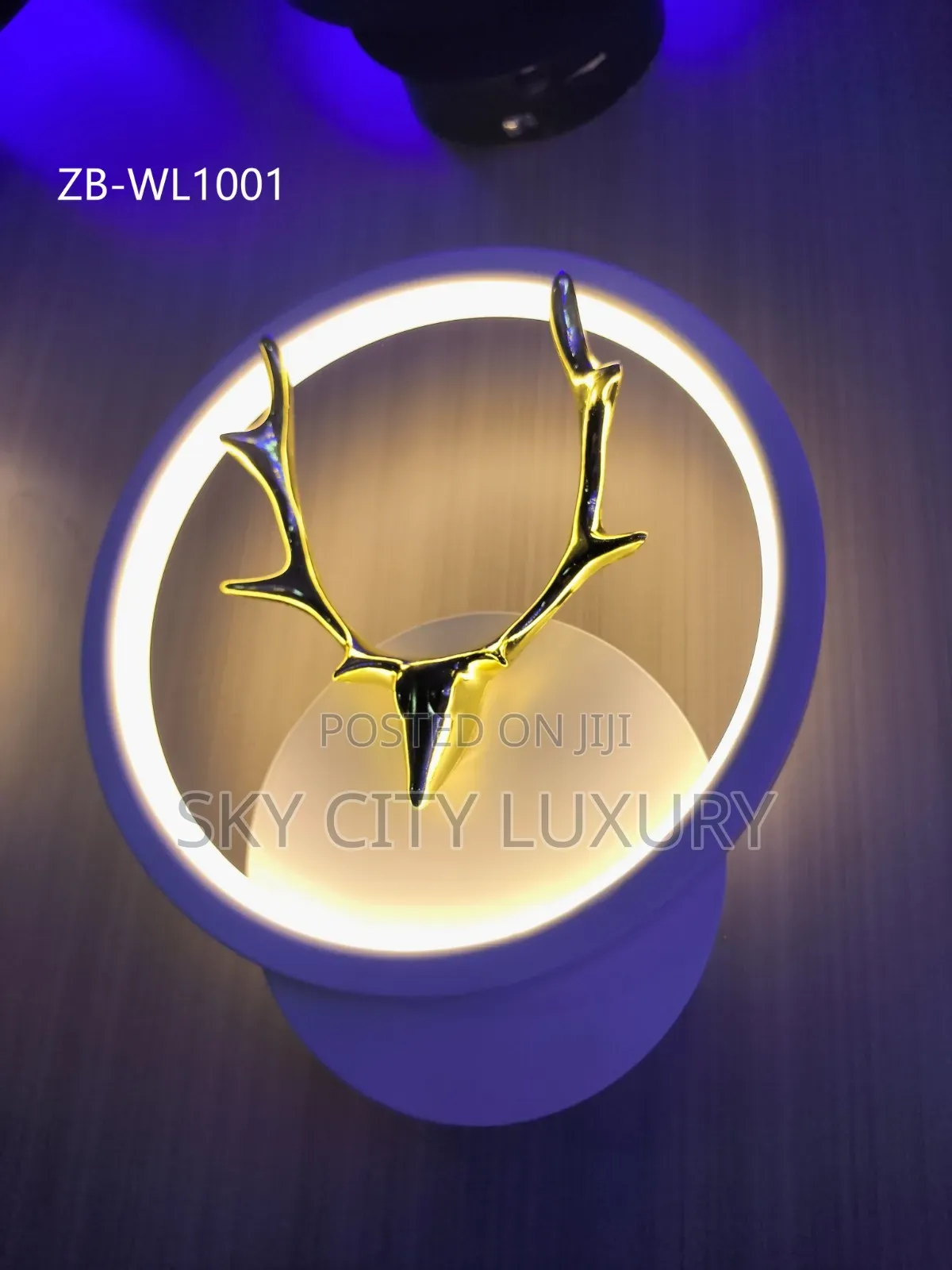 New Design Led Wall Bracket Light