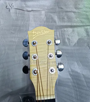 Deviser Semi Acoustic Guitar