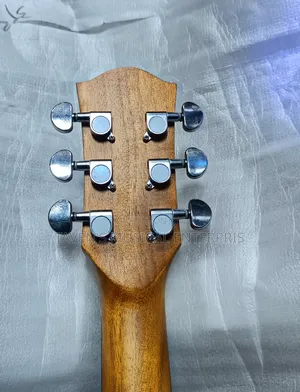 Deviser Semi Acoustic Guitar