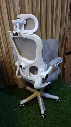 Multi Purpose Quality Ergonomic Chair.
