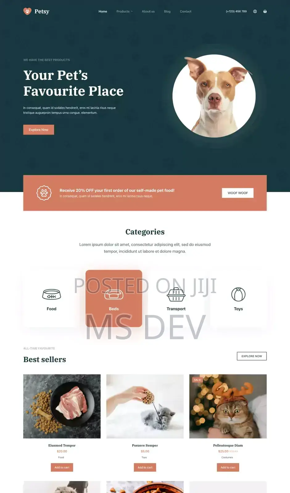 Website Developer