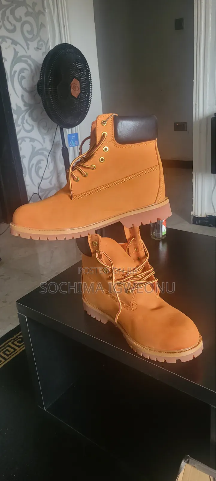 Timberland Shoe