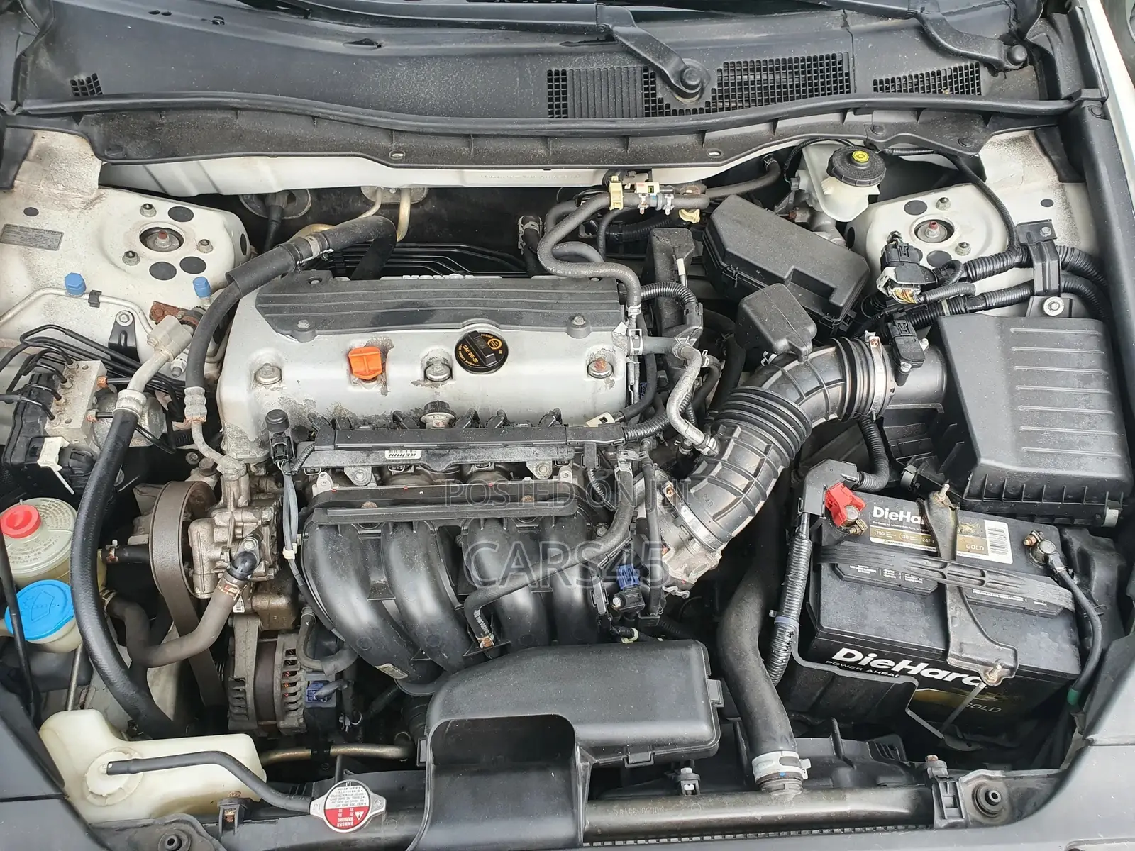 Honda Accord 2012 White