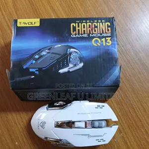 Gaming Mouse