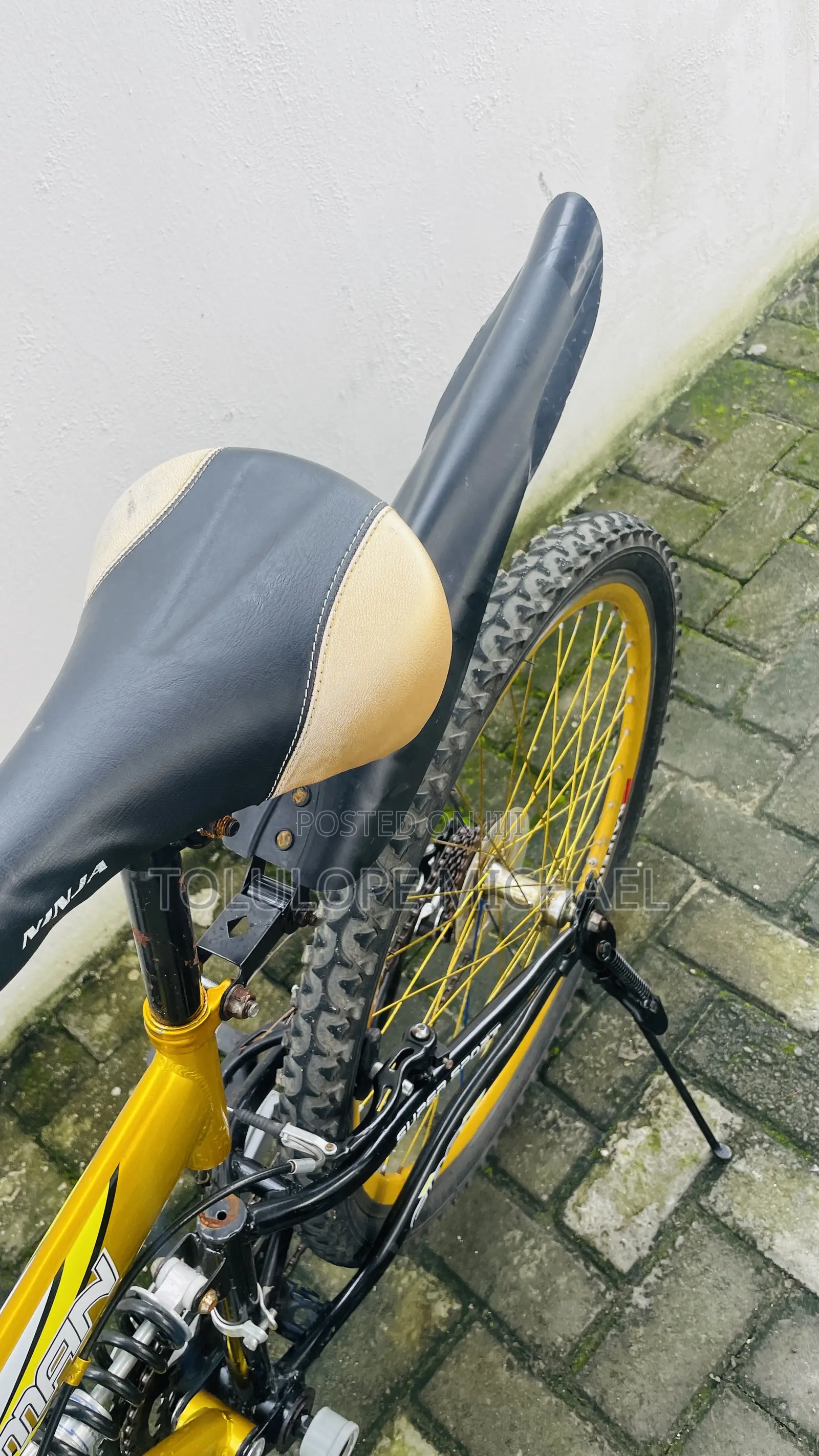 Eastman Adult Bicycle