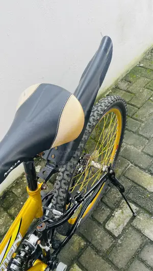 Eastman Adult Bicycle