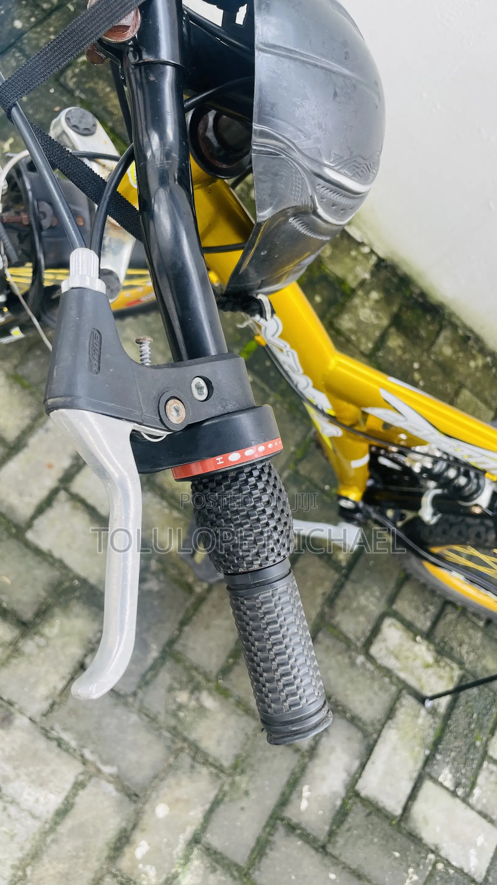 Eastman Adult Bicycle