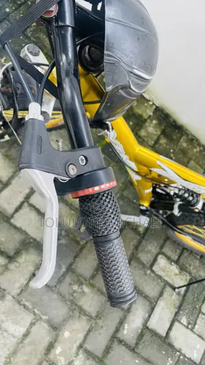 Eastman Adult Bicycle