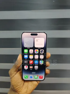 Apple iPhone 14 Pro Max 256 GB Silver