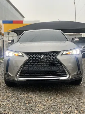 Lexus UX 200 2021 Gray