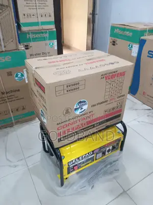 Efficient Elepaq Constant Sv6800 Petrol Generator