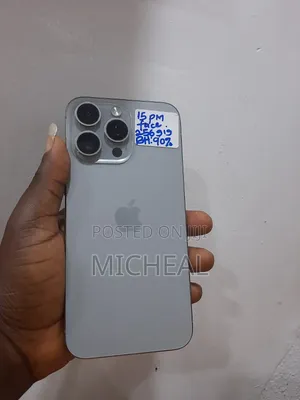 Apple iPhone 15 Pro Max 256 GB Gray