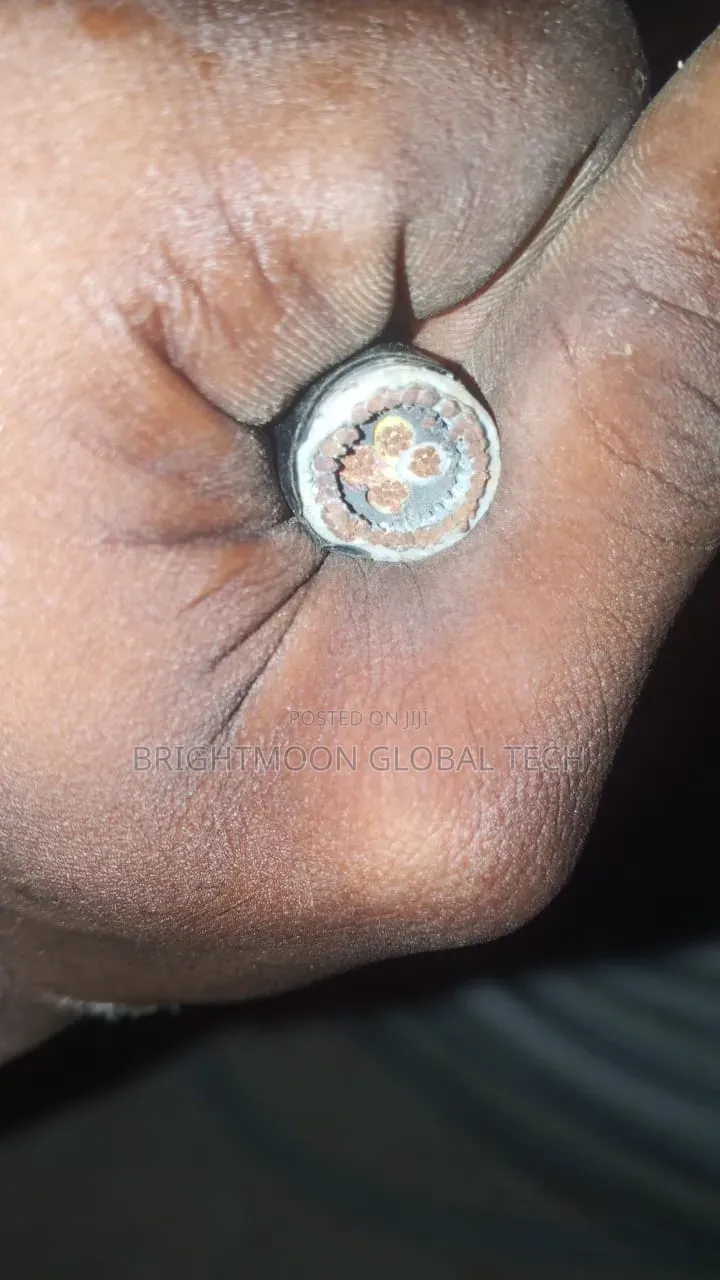 2.5mm 4core Armored Cable
