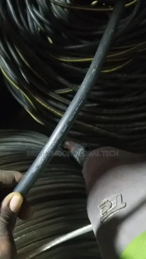 2.5mm 4core Armored Cable