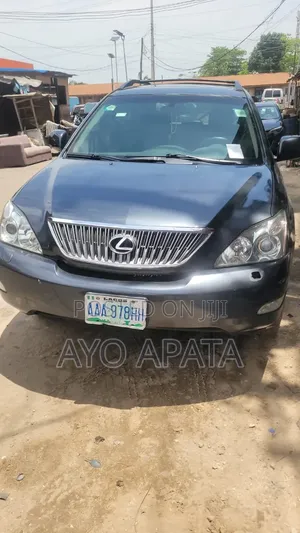Lexus RX 2004 Gray