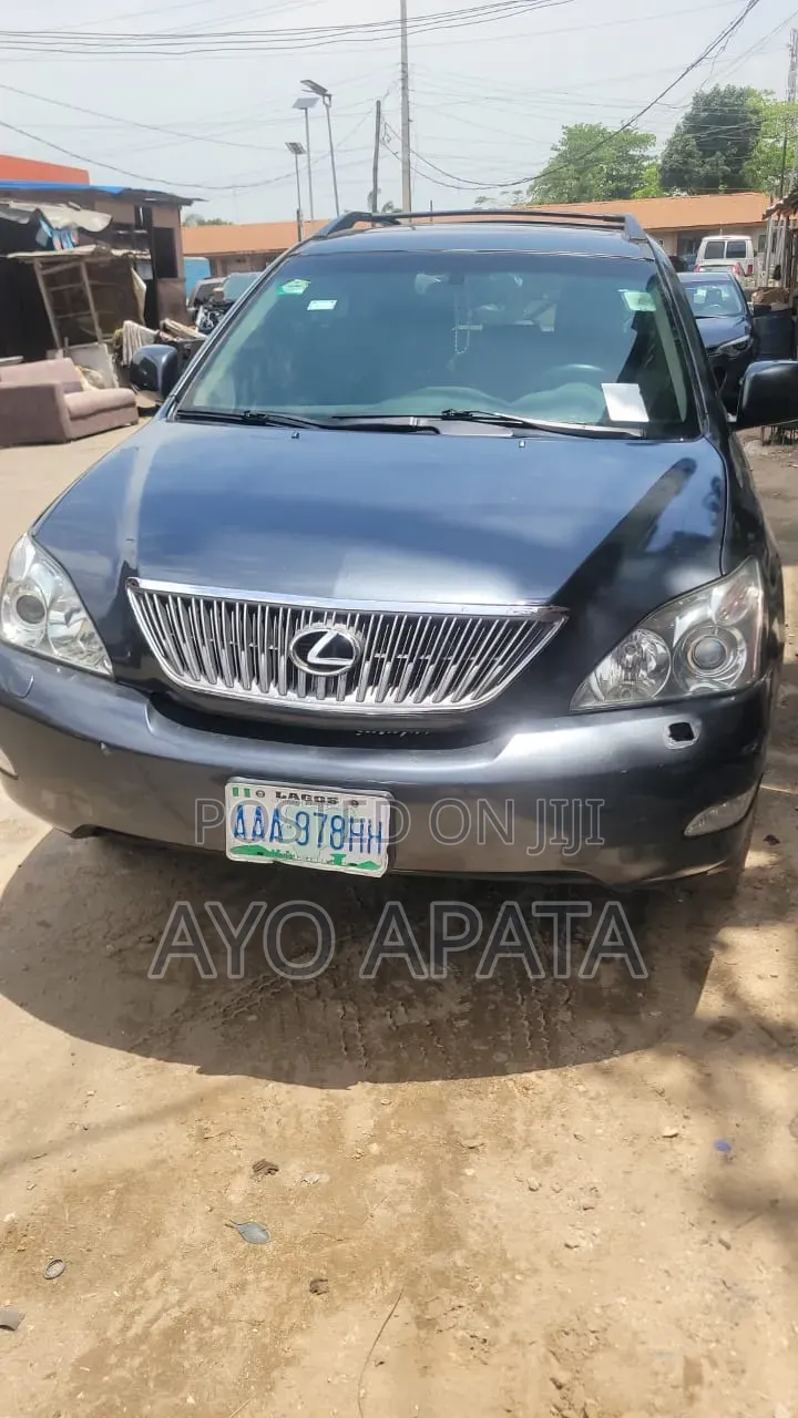 Lexus RX 2004 Gray
