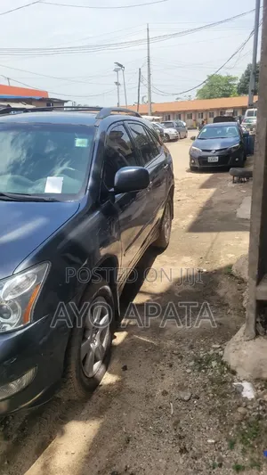 Lexus RX 2004 Gray