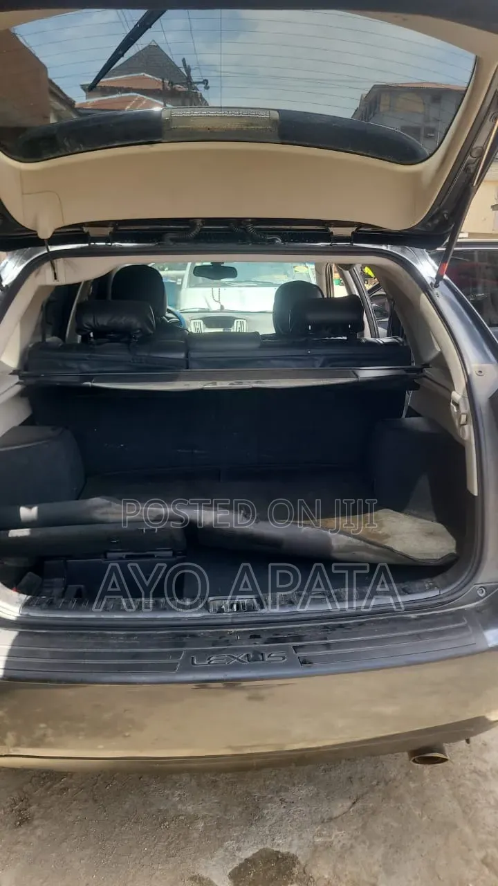 Lexus RX 2004 Gray