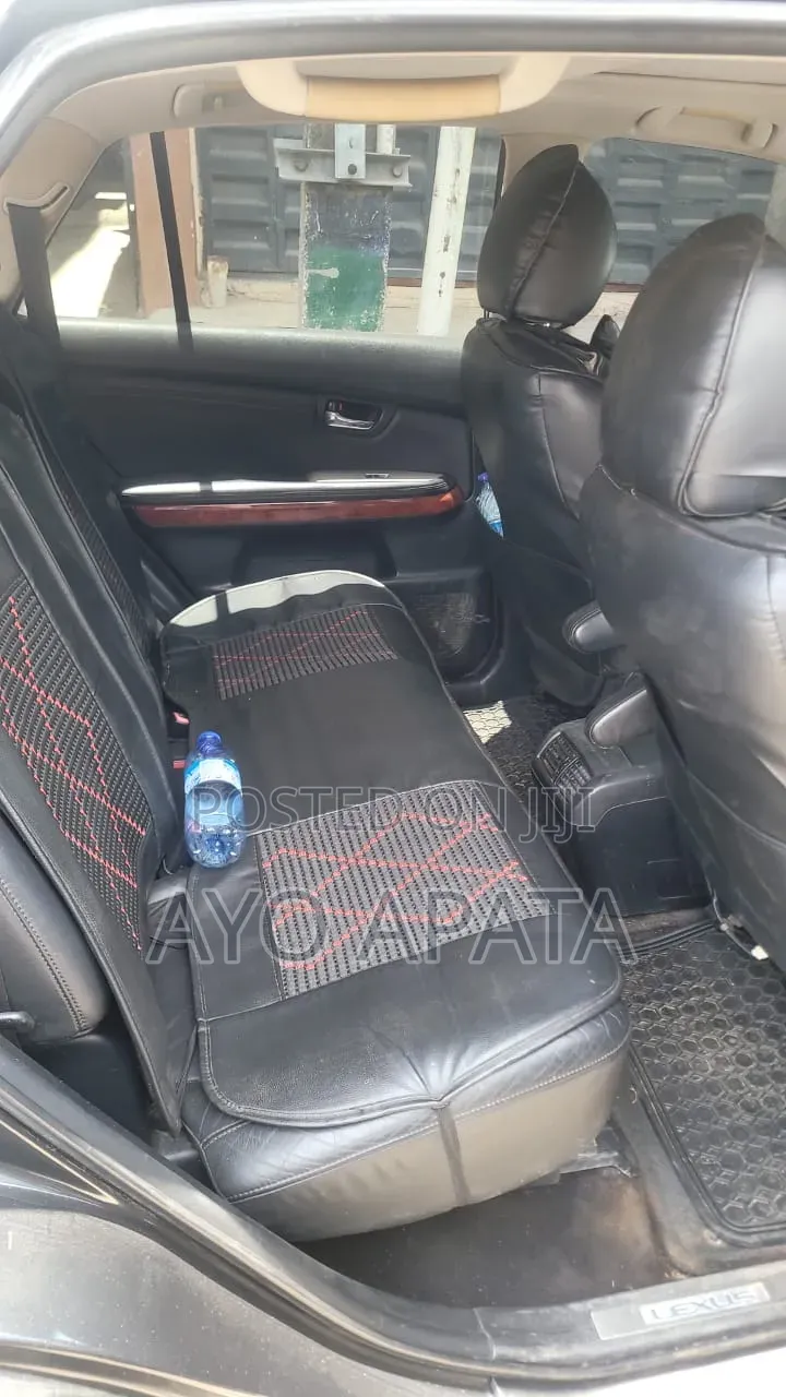 Lexus RX 2004 Gray