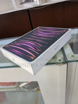 Apple iPad Pro 1 TB Gray