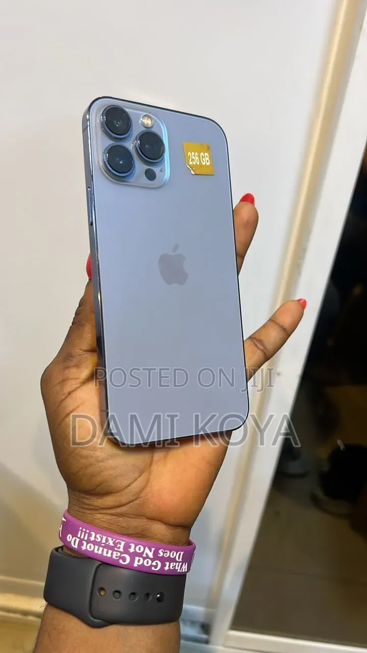 Apple iPhone 13 Pro Max 256 GB Gray