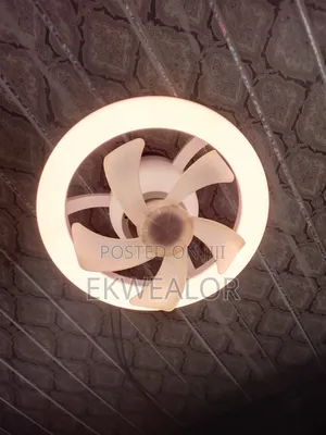 Led Fan Light