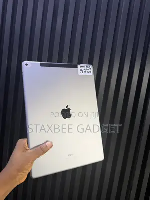 Apple iPad Pro 128 GB Gray