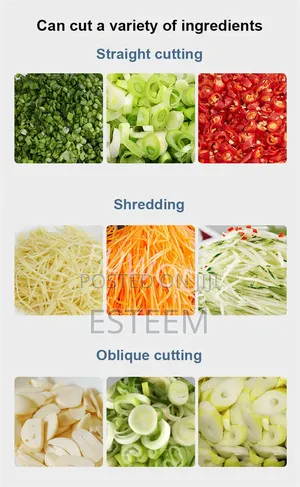 Commercial Vegetable Multifunction Cutter