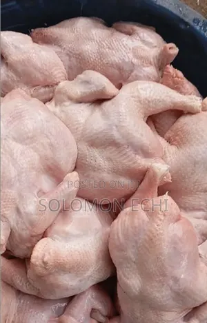 Live Chicken and Frozen Chicken