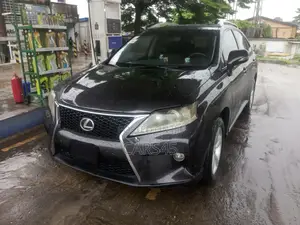 Lexus RX 2010 Gray