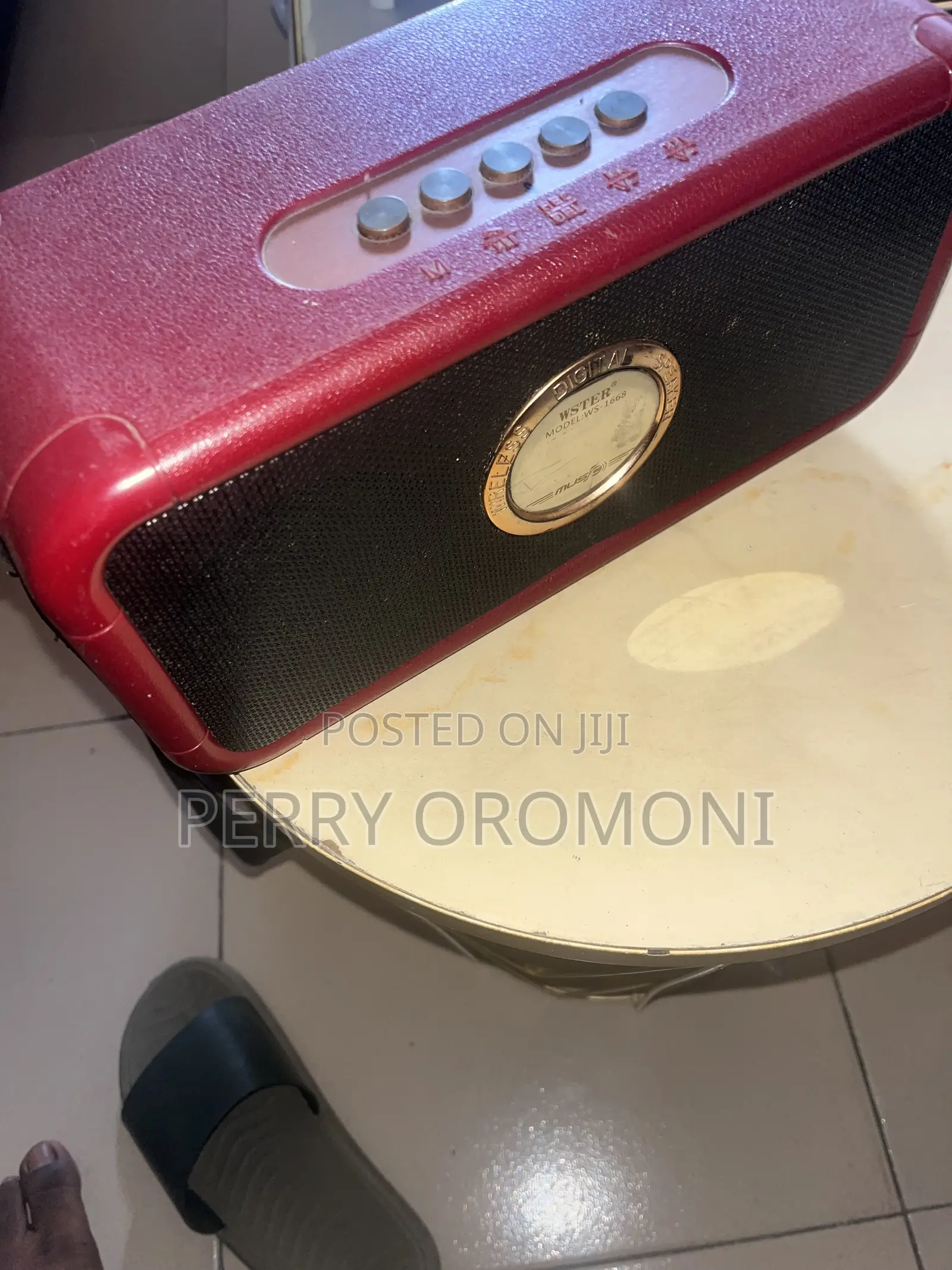 Wster Wireless Speaker
