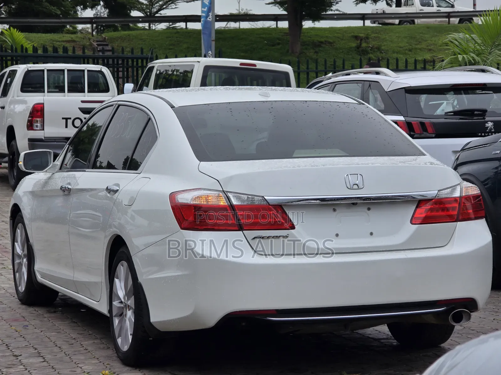 Honda Accord 2013 White