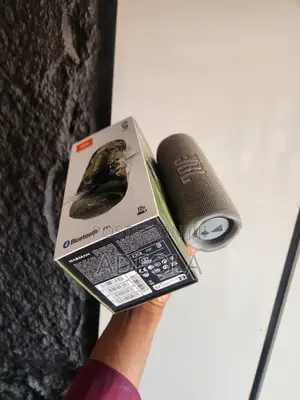 Speaker Flip 6