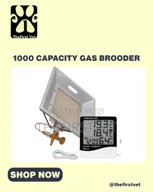 1000 Capacity Gas Brooder