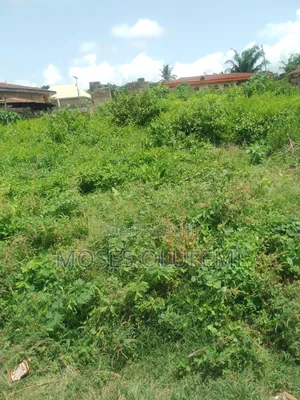 Plots of Land
